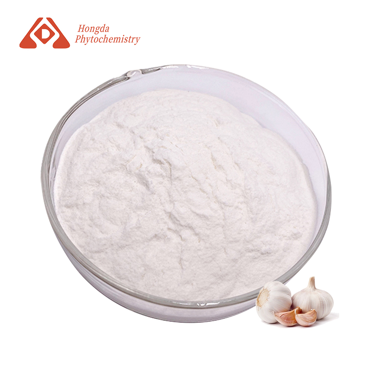 Garlic Extract Powder